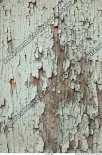 Photo Textures of Wood